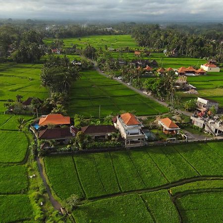 Villa Popolan And Guest House Ubud Eksteriør billede
