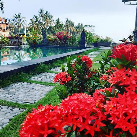 Villa Popolan And Guest House Ubud Eksteriør billede
