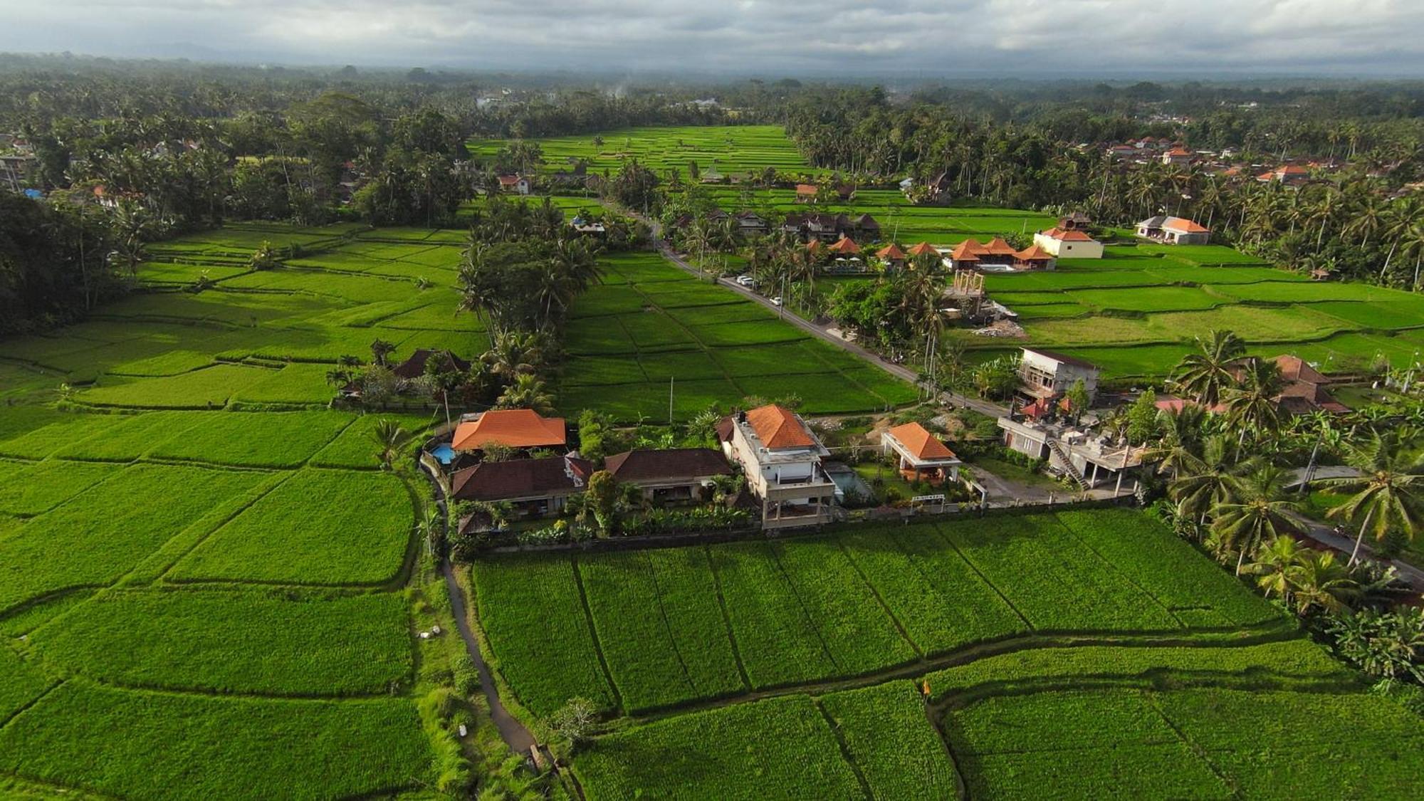 Villa Popolan And Guest House Ubud Eksteriør billede